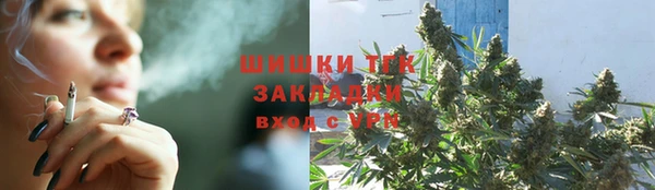 гашик Алзамай