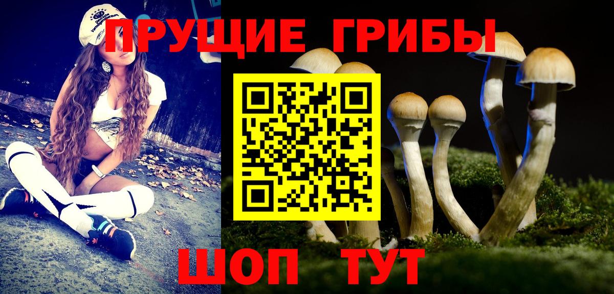 Балашиха  Псилоцибиновые грибы мицелий  Вход с VPN  Псилоцибиновые грибы Psilocybe 