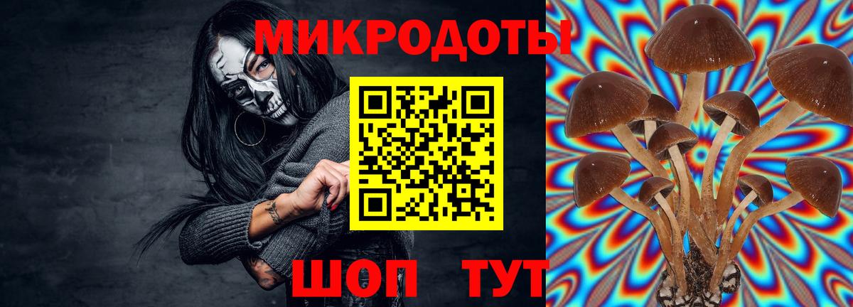 Галлюциногенные грибы ЛСД Балашиха