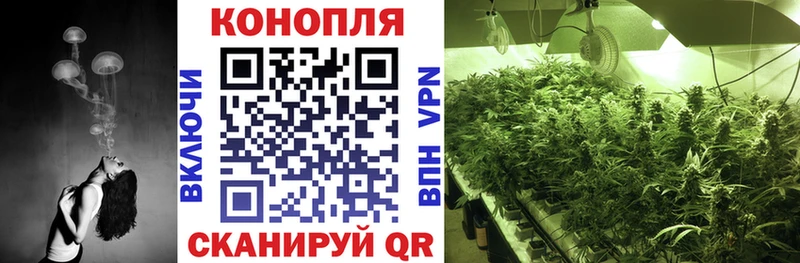 Бошки Шишки планчик  Балашиха 
